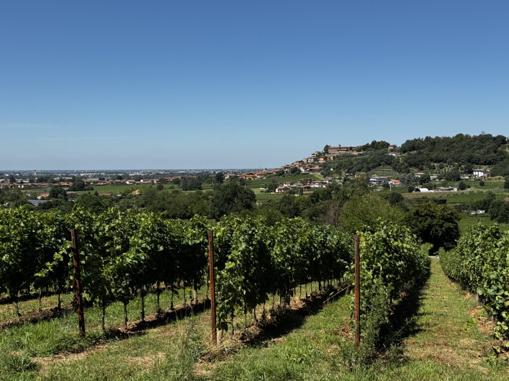 Adro - Vista del Monastero Castello di Capriolo