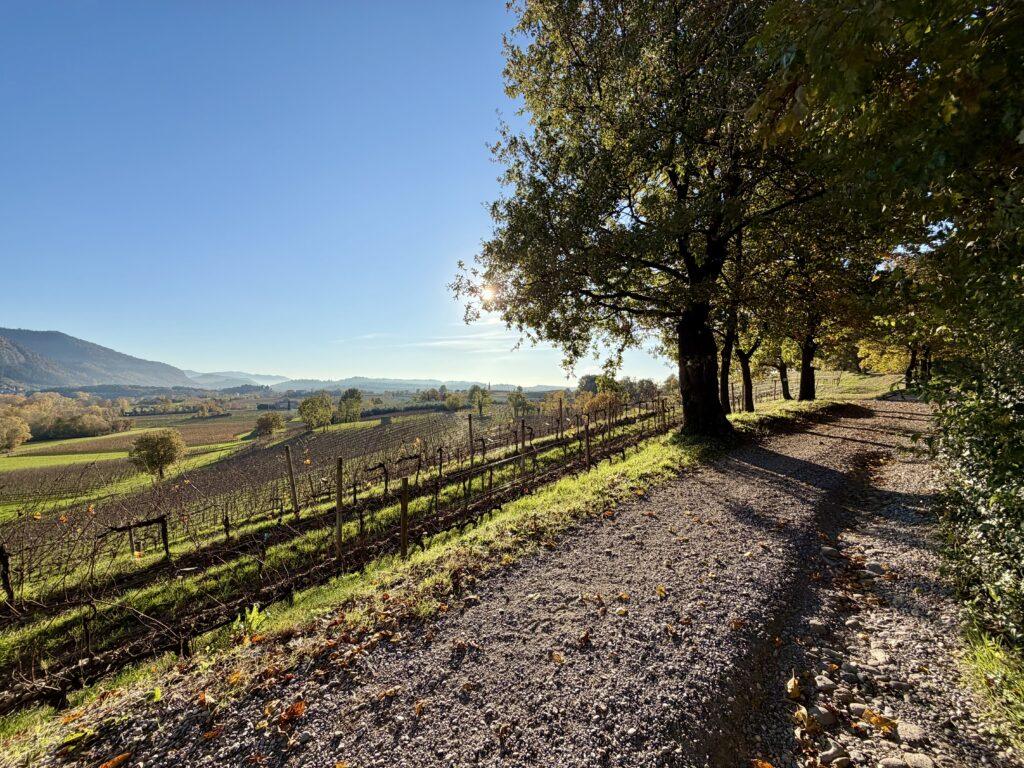 Strada sterrata sul percorso Giallo