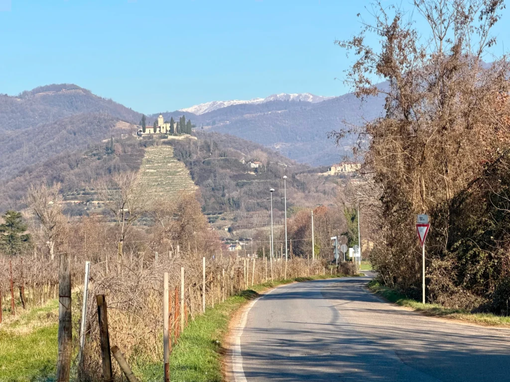 santissima-gussago-vigneti-franciacorta Veduta della Santissima di Gussago dal basso con vigneti in primo piano e montagne innevate sullo sfondo.