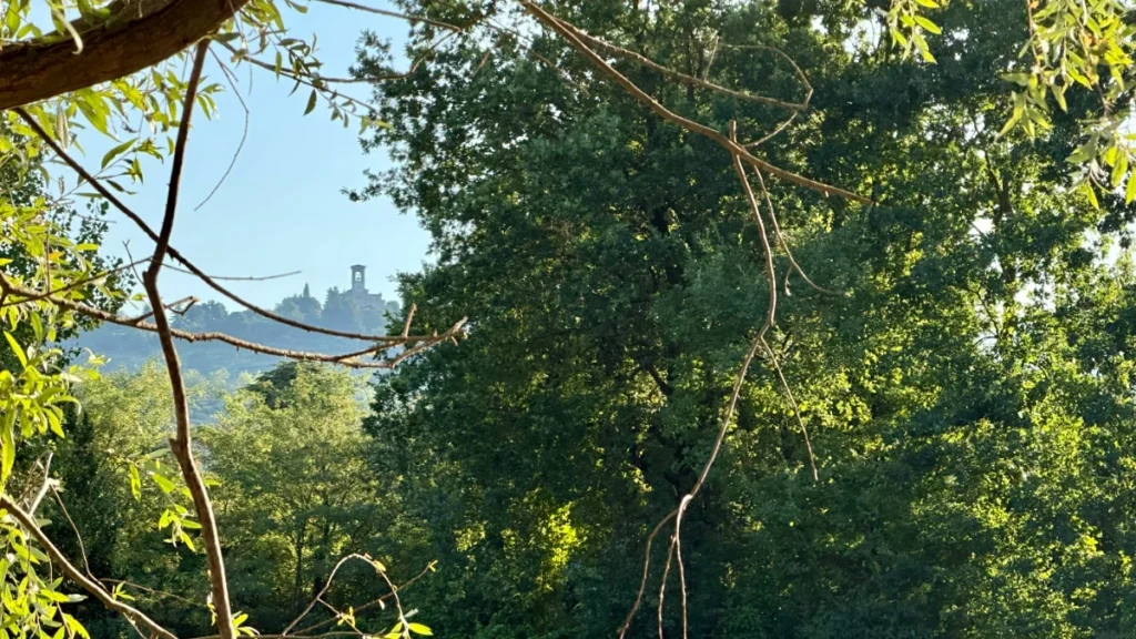 Veduta panoramica del Santuario della Madonna della Stella che spunta tra le colline verdi della Franciacorta, incorniciato da rami e alberi rigogliosi.