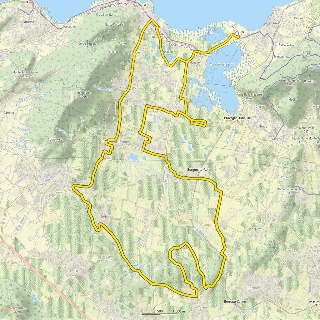 Vai all'articolo con il test del percorso.